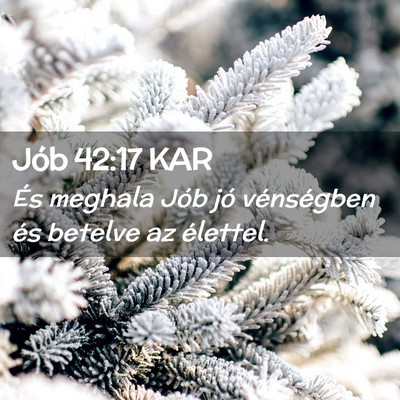 Picture 02 - Jób 42:17 KAR - És meghala Jób jó vénségben és betelve az - Bible Verse Picture