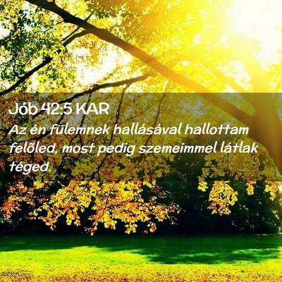 Picture 02 - Jób 42:5 KAR - Az én fülemnek hallásával hallottam felõled, - Bible Verse Picture