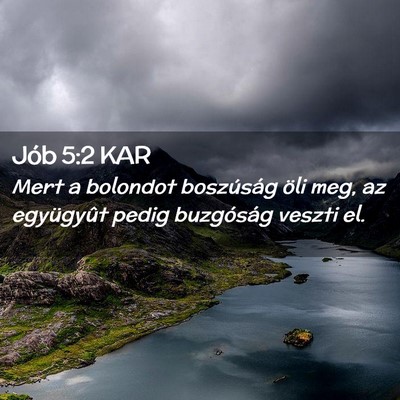 Picture 02 - Jób 5:2 KAR - Mert a bolondot boszúság öli meg, az - Bible Verse Picture
