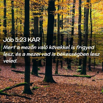 Picture 02 - Jób 5:23 KAR - Mert a mezõn való kövekkel is frigyed lesz, - Bible Verse Picture