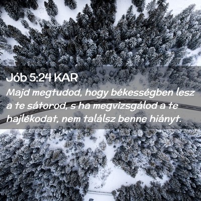 Picture 02 - Jób 5:24 KAR - Majd megtudod, hogy békességben lesz a te - Bible Verse Picture