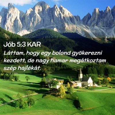 Picture 02 - Jób 5:3 KAR - Láttam, hogy egy bolond gyökerezni kezdett, de - Bible Verse Picture