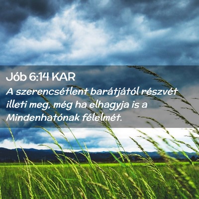 Picture 02 - Jób 6:14 KAR - A szerencsétlent barátjától részvét illeti - Bible Verse Picture
