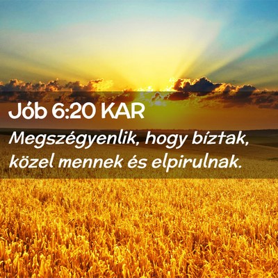 Picture 02 - Jób 6:20 KAR - Megszégyenlik, hogy bíztak, közel mennek és - Bible Verse Picture