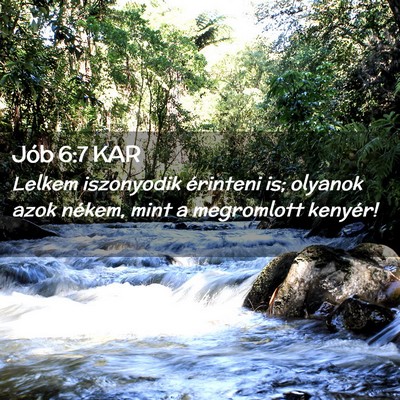 Picture 02 - Jób 6:7 KAR - Lelkem iszonyodik érinteni is; olyanok azok - Bible Verse Picture