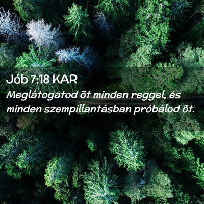 Picture 02 - Jób 7:18 KAR - Meglátogatod õt minden reggel, és minden - Bible Verse Picture