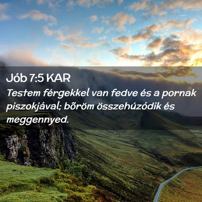 Picture 02 - Jób 7:5 KAR - Testem férgekkel van fedve és a pornak - Bible Verse Picture