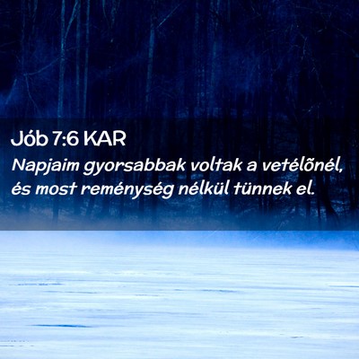 Picture 02 - Jób 7:6 KAR - Napjaim gyorsabbak voltak a vetélõnél, és - Bible Verse Picture