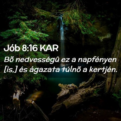 Picture 02 - Jób 8:16 KAR - Bõ nedvességû ez a napfényen [is,] és - Bible Verse Picture
