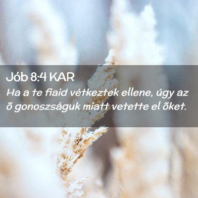 Picture 02 - Jób 8:4 KAR - Ha a te fiaid vétkeztek ellene, úgy az õ - Bible Verse Picture