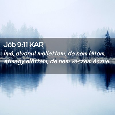 Picture 02 - Jób 9:11 KAR - Ímé, elvonul mellettem, de nem látom, átmegy - Bible Verse Picture
