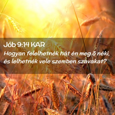 Picture 02 - Jób 9:14 KAR - Hogyan felelhetnék hát én meg õ néki, és - Bible Verse Picture