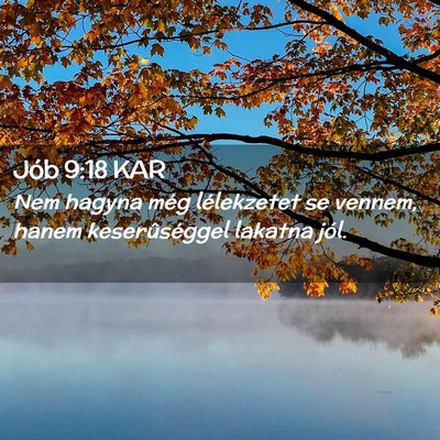 Picture 02 - Jób 9:18 KAR - Nem hagyna még lélekzetet se vennem, hanem - Bible Verse Picture