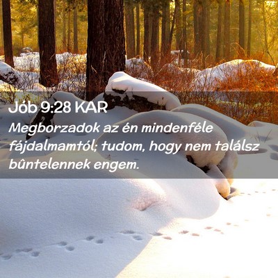 Picture 02 - Jób 9:28 KAR - Megborzadok az én mindenféle fájdalmamtól; - Bible Verse Picture