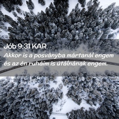 Picture 02 - Jób 9:31 KAR - Akkor is a posványba mártanál engem és az én - Bible Verse Picture