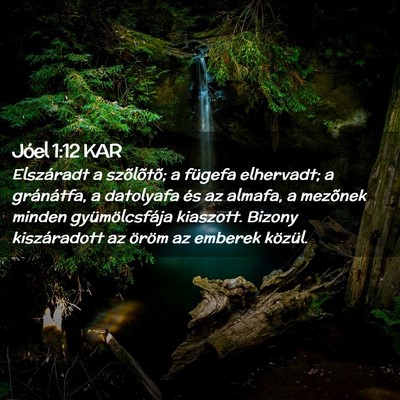 Picture 02 - Jóel 1:12 KAR - Elszáradt a szõlõtõ; a fügefa elhervadt; a - Bible Verse Picture