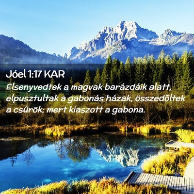 Picture 02 - Jóel 1:17 KAR - Elsenyvedtek a magvak barázdáik alatt, - Bible Verse Picture
