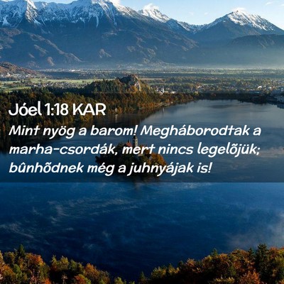 Picture 02 - Jóel 1:18 KAR - Mint nyög a barom! Megháborodtak a - Bible Verse Picture