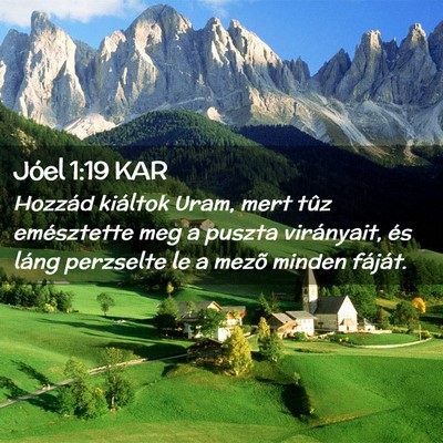 Picture 02 - Jóel 1:19 KAR - Hozzád kiáltok Uram, mert tûz emésztette meg - Bible Verse Picture