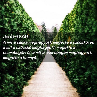 Picture 02 - Jóel 1:4 KAR - A mit a sáska meghagyott, megette a szöcskõ; - Bible Verse Picture