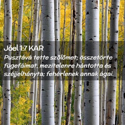 Picture 02 - Jóel 1:7 KAR - Pusztává tette szõlõmet; összetörte - Bible Verse Picture