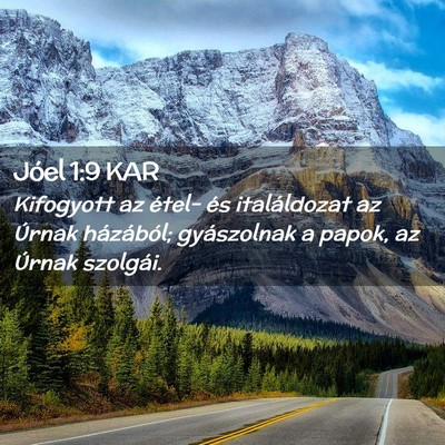 Picture 02 - Jóel 1:9 KAR - Kifogyott az étel- és italáldozat az Úrnak - Bible Verse Picture