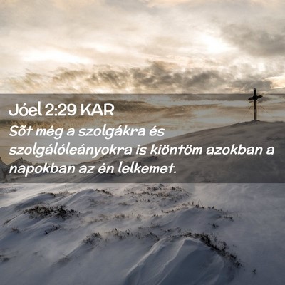 Picture 02 - Jóel 2:29 KAR - Sõt még a szolgákra és szolgálóleányokra - Bible Verse Picture