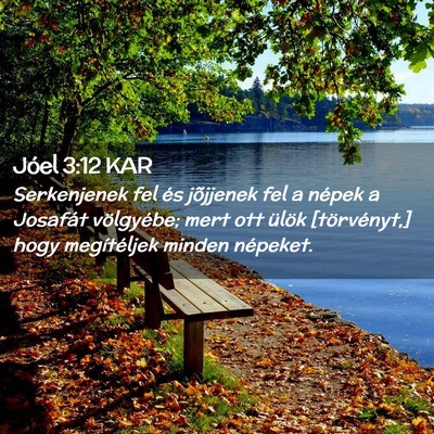 Picture 02 - Jóel 3:12 KAR - Serkenjenek fel és jõjjenek fel a népek a - Bible Verse Picture