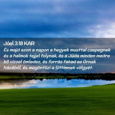 Picture 02 - Jóel 3:18 KAR - És majd azon a napon a hegyek musttal csepegnek - Bible Verse Picture