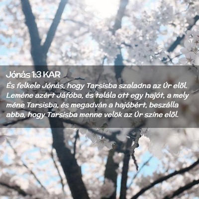 Picture 02 - Jónás 1:3 KAR - És felkele Jónás, hogy Tarsisba szaladna az - Bible Verse Picture
