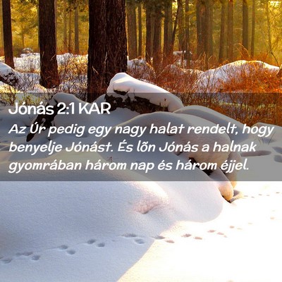 Picture 02 - Jónás 2:1 KAR - Az Úr pedig egy nagy halat rendelt, hogy - Bible Verse Picture