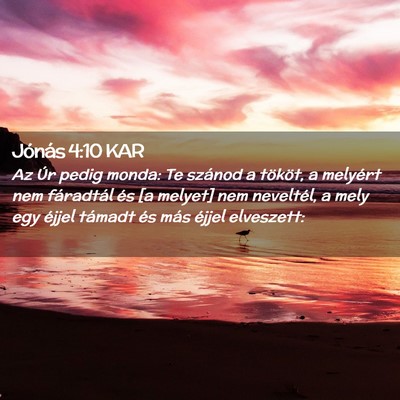 Picture 02 - Jónás 4:10 KAR - Az Úr pedig monda: Te szánod a tököt, a - Bible Verse Picture