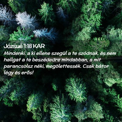 Picture 02 - Józsué 1:18 KAR - Mindenki, a ki ellene szegül a te szódnak, és - Bible Verse Picture