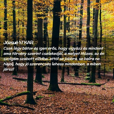 Picture 02 - Józsué 1:7 KAR - Csak légy bátor és igen erõs, hogy vigyázz - Bible Verse Picture