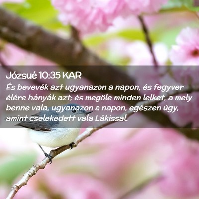 Picture 02 - Józsué 10:35 KAR - És bevevék azt ugyanazon a napon, és fegyver - Bible Verse Picture
