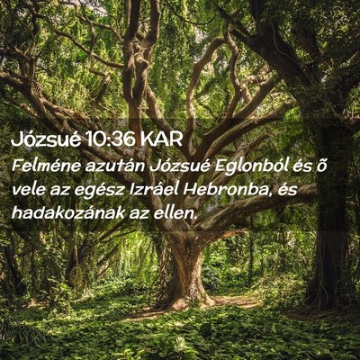 Picture 02 - Józsué 10:36 KAR - Felméne azután Józsué Eglonból és õ vele - Bible Verse Picture