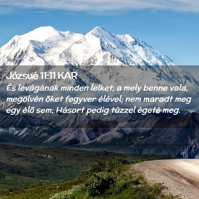 Picture 02 - Józsué 11:11 KAR - És levágának minden lelket, a mely benne vala, - Bible Verse Picture