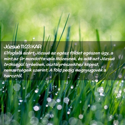 Picture 02 - Józsué 11:23 KAR - Elfoglalá azért Józsué az egész földet - Bible Verse Picture
