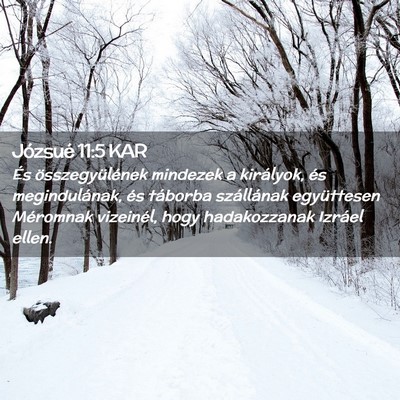 Picture 02 - Józsué 11:5 KAR - És összegyülének mindezek a királyok, és - Bible Verse Picture