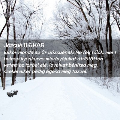 Picture 02 - Józsué 11:6 KAR - Ekkor monda az Úr Józsuénak: Ne félj tõlök, - Bible Verse Picture