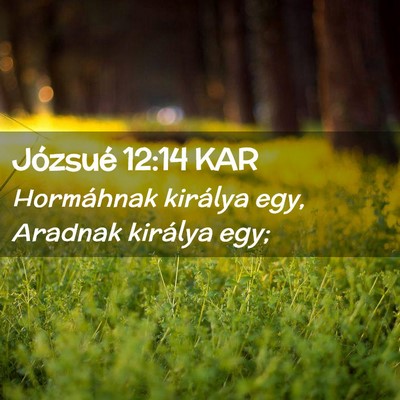 Picture 02 - Józsué 12:14 KAR - Hormáhnak királya egy, Aradnak királya - Bible Verse Picture