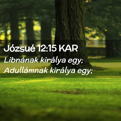 Picture 02 - Józsué 12:15 KAR - Libnának királya egy; Adullámnak királya - Bible Verse Picture