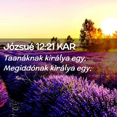 Picture 02 - Józsué 12:21 KAR - Taanáknak királya egy, Megiddónak királya - Bible Verse Picture