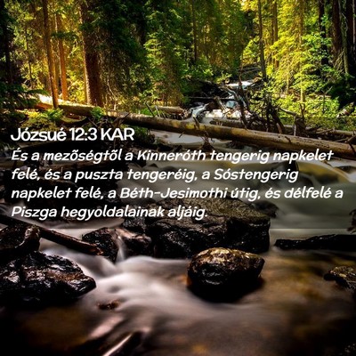Picture 02 - Józsué 12:3 KAR - És a mezõségtõl a Kinneróth tengerig - Bible Verse Picture