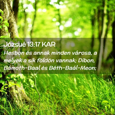 Picture 02 - Józsué 13:17 KAR - Hesbon és annak minden városa, a melyek a sík - Bible Verse Picture