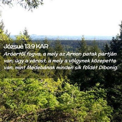 Picture 02 - Józsué 13:9 KAR - Aróertõl fogva, a mely az Arnon patak partján - Bible Verse Picture