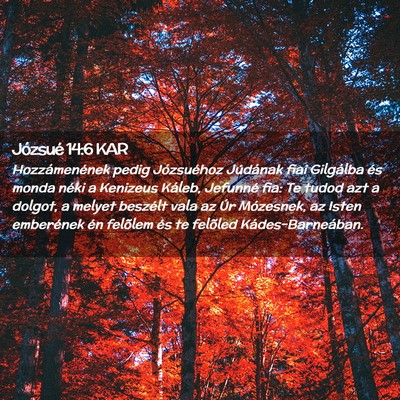 Picture 02 - Józsué 14:6 KAR - Hozzámenének pedig Józsuéhoz Júdának fiai - Bible Verse Picture