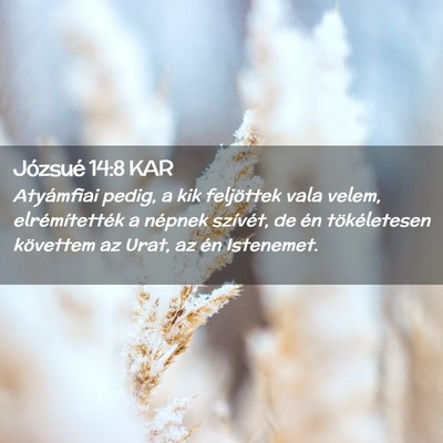 Picture 02 - Józsué 14:8 KAR - Atyámfiai pedig, a kik feljöttek vala velem, - Bible Verse Picture