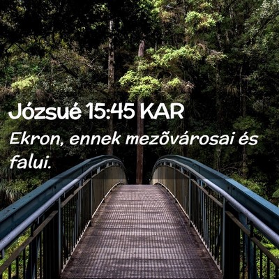Picture 02 - Józsué 15:45 KAR - Ekron, ennek mezõvárosai és - Bible Verse Picture