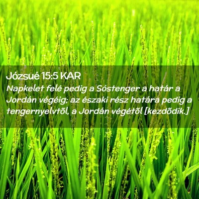 Picture 02 - Józsué 15:5 KAR - Napkelet felé pedig a Sóstenger a határ a - Bible Verse Picture